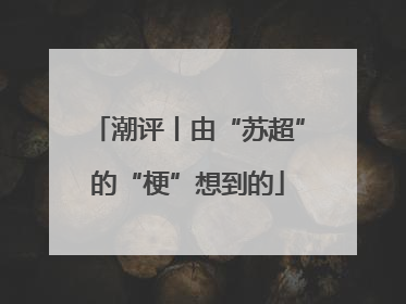 潮评丨由“苏超”的“梗”想到的